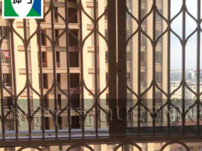 坤宁大花铝合金伸缩推拉防盗窗防护窗高层窗户防盗网防止儿童坠楼图3