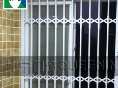 坤宁牌铝合金小花款内置阳台防盗网外置推拉防盗窗防护窗防锈门窗图3