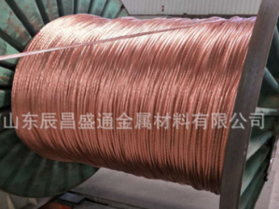 供应国标铜绞线TJ95 TJ 120镀锡铜绞线TJ150平方铜绞线图2