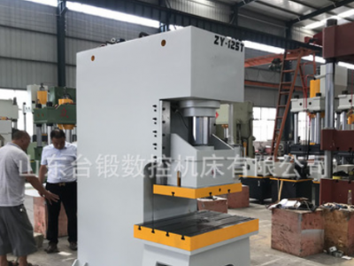台锻125吨液压机 伺服压力机一分钟可冲60次 125T快速液压冲压机图2