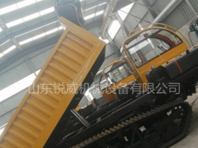 适合多种地形的履带运输车 小型履带车价格 农用履带运输车厂家图2