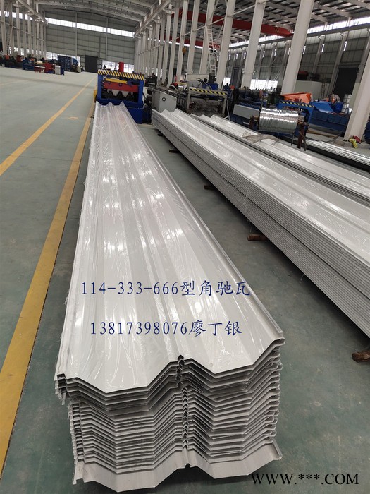腾威彩钢彩钢瓦 单层彩钢压型板 666屋面角驰瓦楞板 防水屋面彩钢瓦 138173 98076彩钢瓦厂家图7