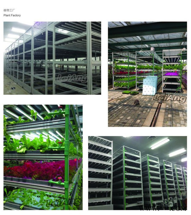 供应 沃萱30150 铝材厂家 工业铝型材 铝型材 工业铝型材 铝合金型材 铝型材 非标件型材 展架图2