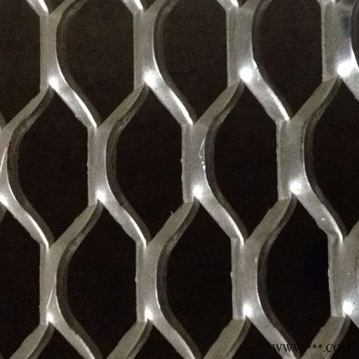 铝板装饰网    冲孔钢板网    钢板网片图1
