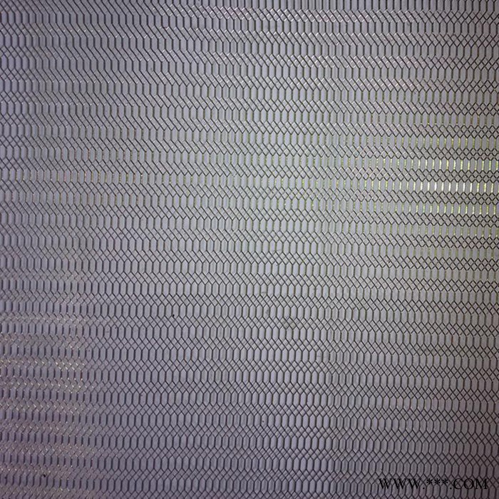 铝板网    异型钢板网    钢板网墙图1