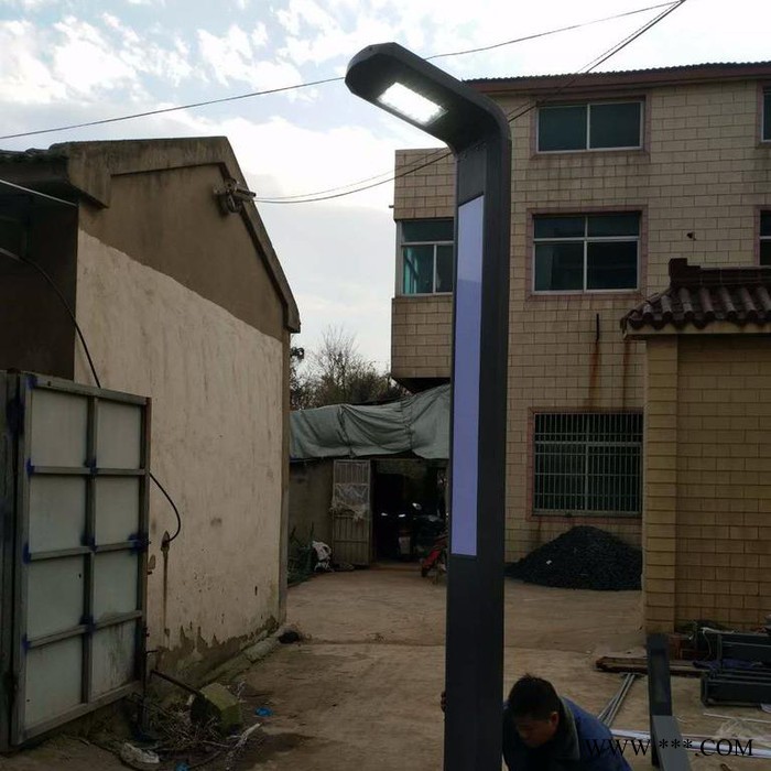 FNZH/伍玖照明JGD0643 铝型材庭院灯厂家 常州景观灯厂家 4米30瓦LED庭院灯定做 欢迎来图定做图2