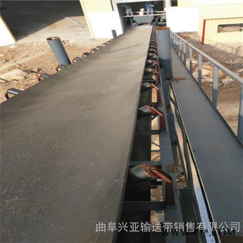 食品用输送机 PVC食品轻型输送机 铝型材框架输送机 兴亚设备图6