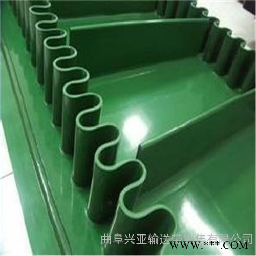 食品用输送机 PVC食品轻型输送机 铝型材框架输送机 兴亚设备图7