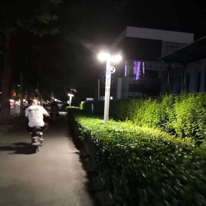 畅园cyzm庭院灯 铝型材庭院灯 小区庭院灯 住宅庭院灯图2