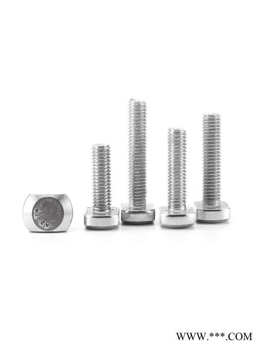 厦门沃螺特 304不锈钢T型螺栓 槽用T形螺栓 304T型螺丝铝型材用螺丝 工厂直发   品优价廉图2