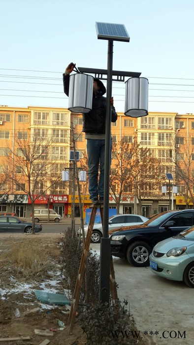 户外现代铝型材庭院灯LED光源防水压铸铝小区庭院道路灯图5