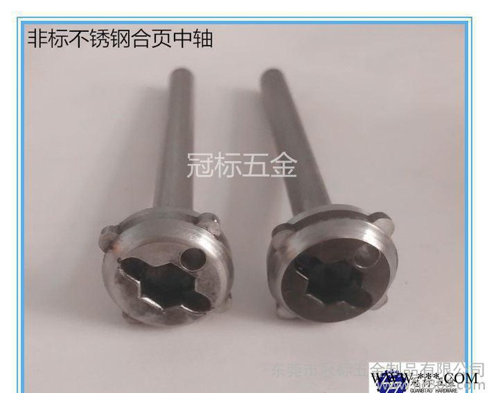 铝型材专用t型螺栓 不锈钢螺栓图2