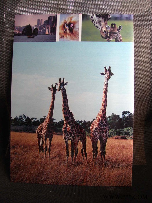 专业喷印 铝板喷印 广告牌铝板喷印 装修铝板喷印图3