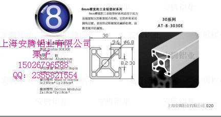 上海安腾铝业生产批发工业铝型材AT-8-3030E图2