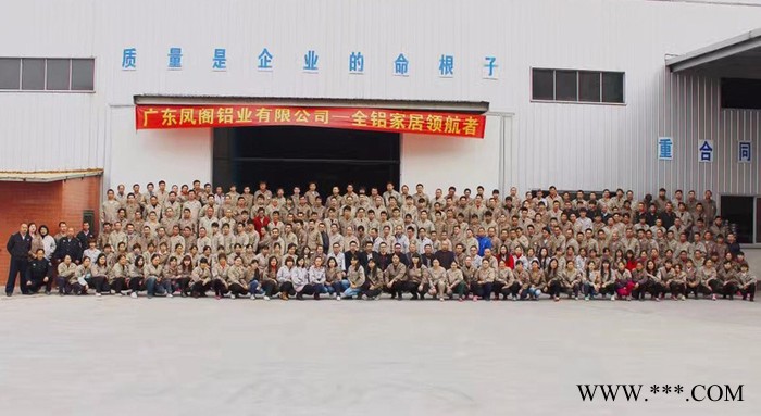 佛山柯索全铝家居型材，全铝家具铝材加盟，全铝衣柜橱柜酒柜材料批发图8