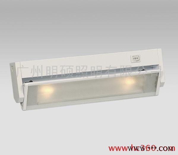 GMS供应2*G9铝材旋转式柜底橱柜灯具 G9氙气灯泡柜底灯 420912WH图3