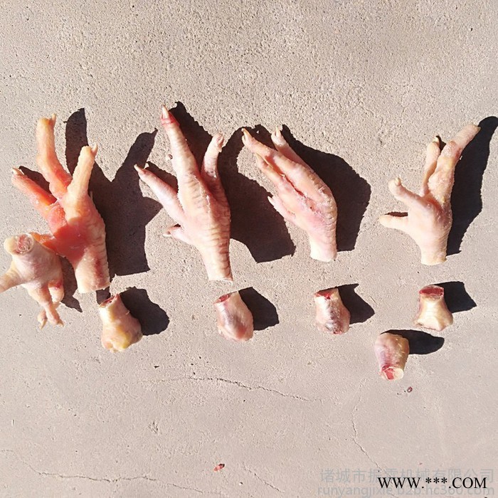 高速鸡爪分切机 大爪切小爪设备 毛料鸡爪漂烫脱皮清洗分割全自动流水线图3