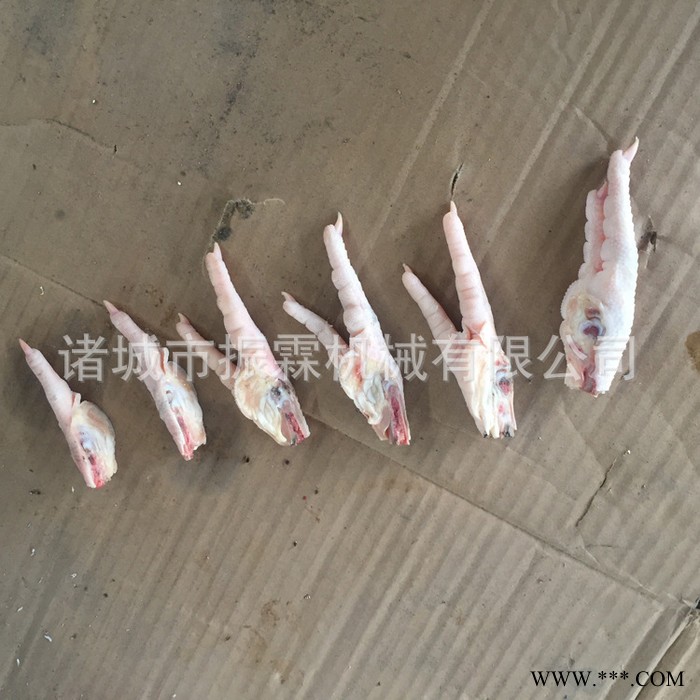 鸡爪分切机 鸡爪分割机 鸡爪切割机 鸡爪切半机图4