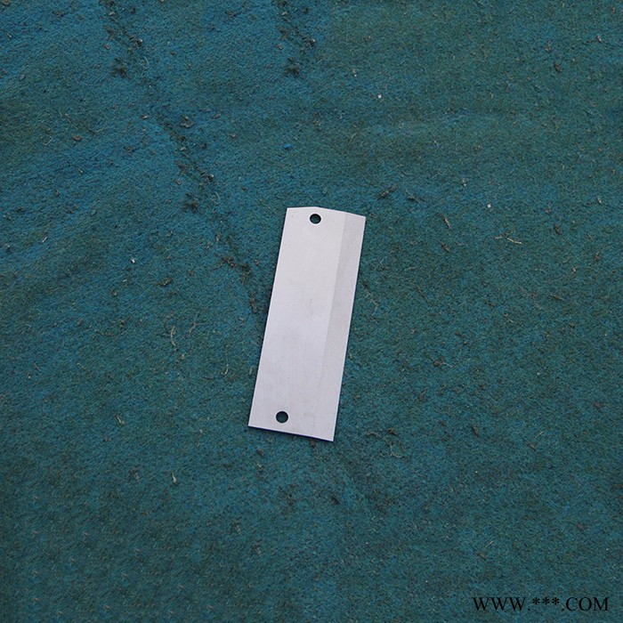 利坚刀片  食品刀片  不锈钢食品刀片 食用分切机刀片图2