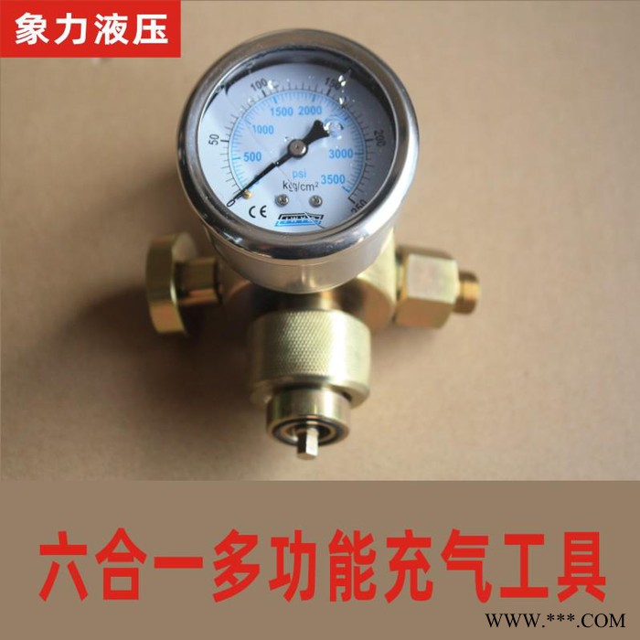 贺德克充气工具 多功能充气工具 蓄能器充气工具 剪板机充气工具 六合一充气工具  进口充气工具 FPX充气工具 质量保证图4