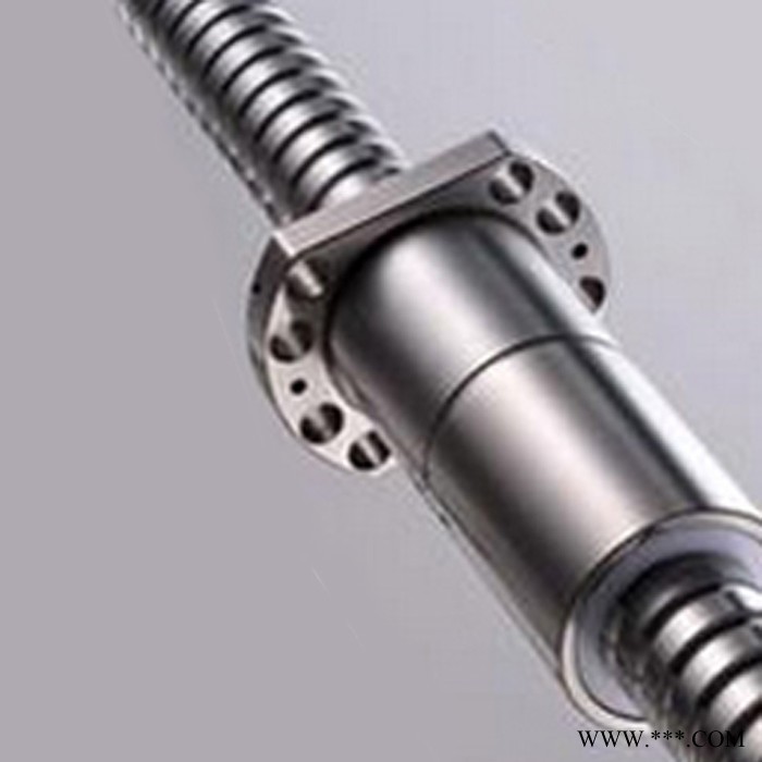 PREYP直线滚珠丝杠 精密机床丝杠副 蓝海冷轧丝杠研发生产基地图4