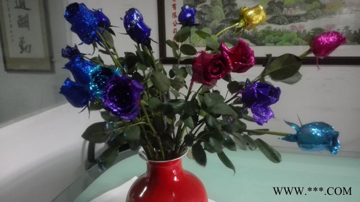 新鲜幻彩玫瑰着色剂植物工艺品图7