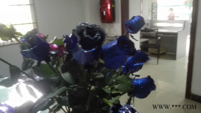 新鲜幻彩玫瑰着色剂植物工艺品图4