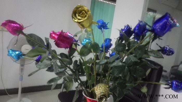 新鲜幻彩玫瑰着色剂植物工艺品图5