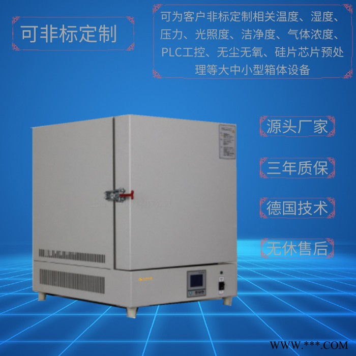 陶瓷纤维马弗炉DTM-10B-30 上海厂家 定做定制电阻炉 管式炉 气氛炉 烧结炉 高温炉 退火炉 台车炉等图2