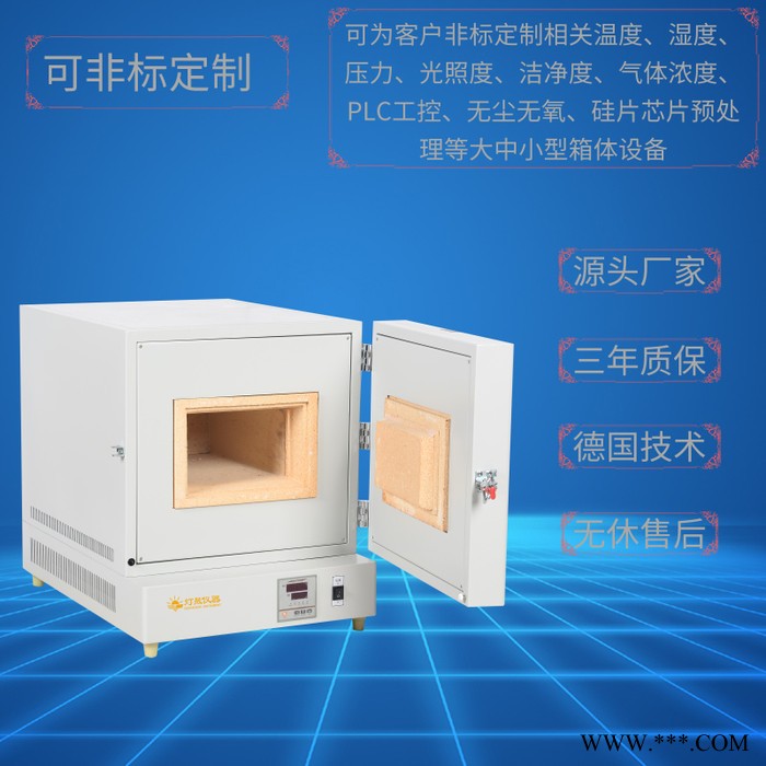 实验室设备DTN-8A-16 一体式高温电阻炉 上海厂家 可非标定制 陶瓷纤维马弗炉 真空管式炉 气氛炉 灰化熔融烧结图5