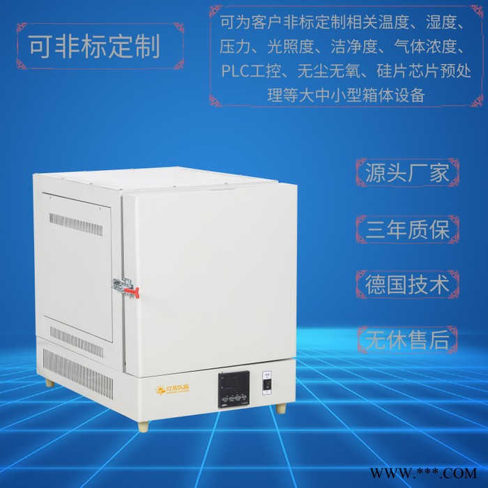 实验室设备DTN-8A-16 一体式高温电阻炉 上海厂家 可非标定制 陶瓷纤维马弗炉 真空管式炉 气氛炉 灰化熔融烧结图3