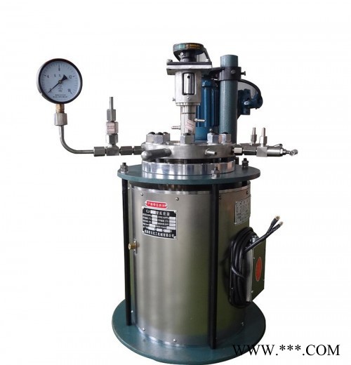 【新元化机】CJ-2型2L小剂量电阻炉电加热耐高温钛材实验室反应釜设备XYHJ-7图2