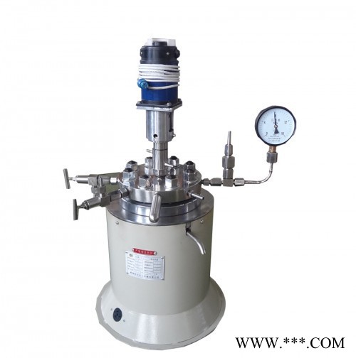 【新元化机】CJ-3型3L小剂量电阻炉电加热耐高温高压哈氏合金实验室反应釜设备XYHJ-6图3