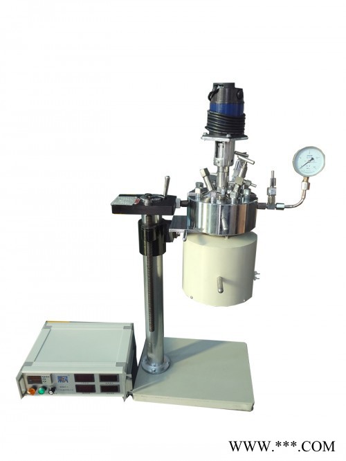 【新元化机】CJKX釜体升降型电阻炉电加热实验室反应釜(钛材 干式加热)XYHJ-91图2