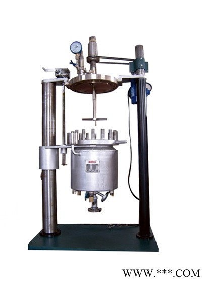 【新元化机】CJKX釜体升降型电阻炉电加热实验室反应釜(钛材 干式加热)XYHJ-91图3