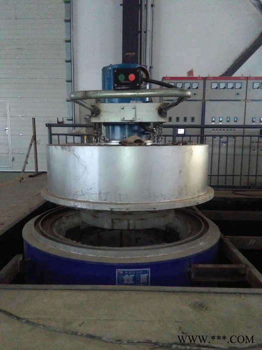 沃福德大型井式电阻炉 回火炉 **图2