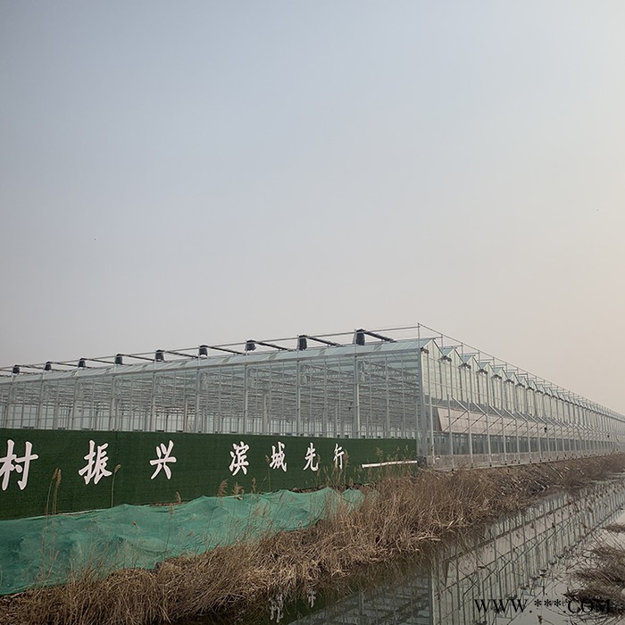 山东智能大棚报价 齐阳电镀玻璃温室大棚厂家建造图4