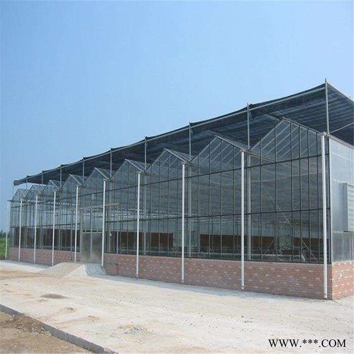 山东智能大棚报价 齐阳电镀玻璃温室大棚厂家建造图3