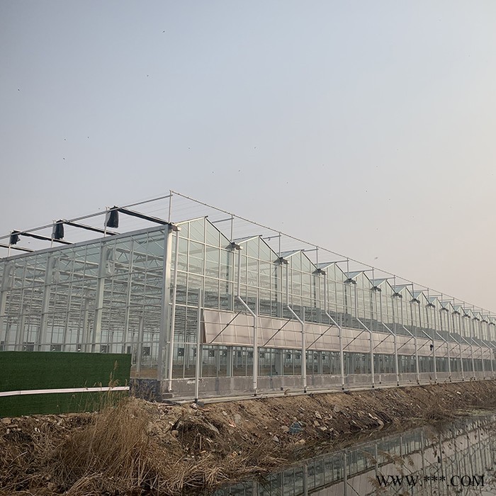 山东智能大棚报价 齐阳电镀玻璃温室大棚厂家建造图6