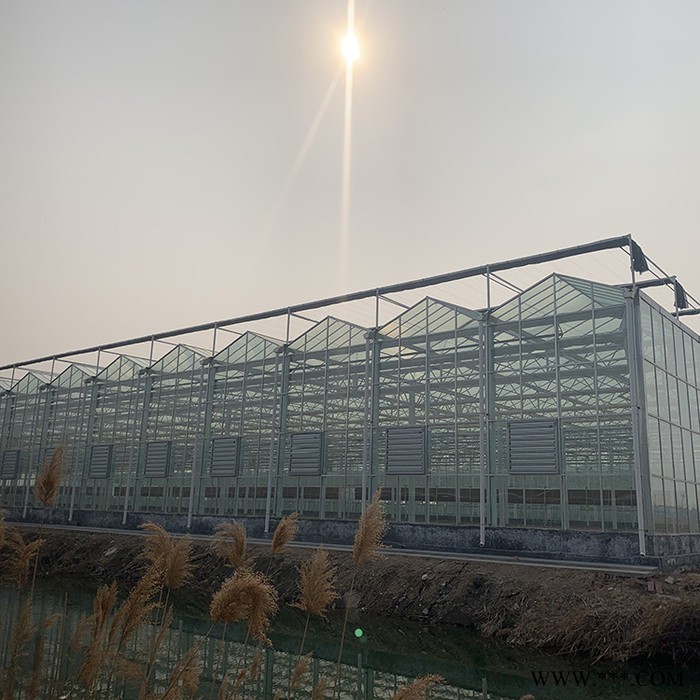 山东智能大棚报价 齐阳电镀玻璃温室大棚厂家建造图5