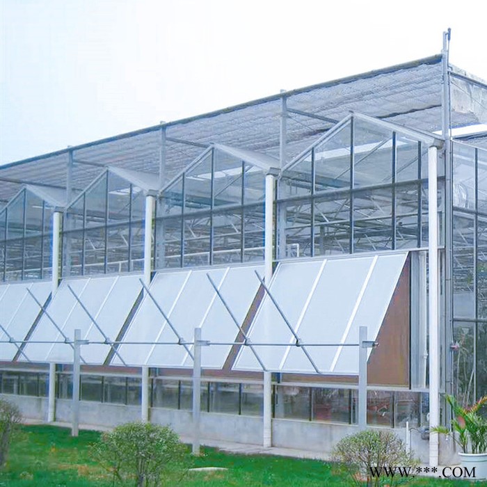 山东智能大棚报价 齐阳电镀玻璃温室大棚厂家建造图7