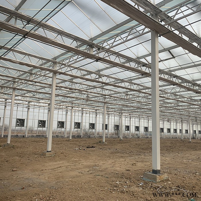 山东智能大棚报价 齐阳电镀玻璃温室大棚厂家建造图2