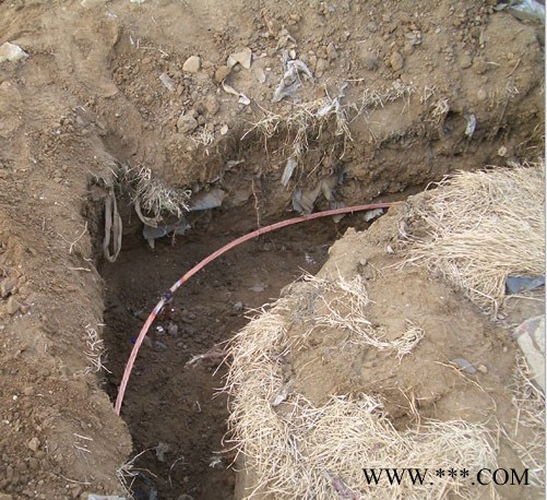 电镀铜包钢绞线一般国标导电率是30%-40%图7