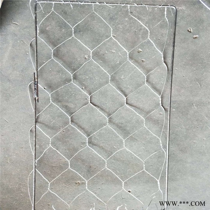 电镀锌石笼网 泰同丝网欢迎采购 **石笼网 厂家批发图6
