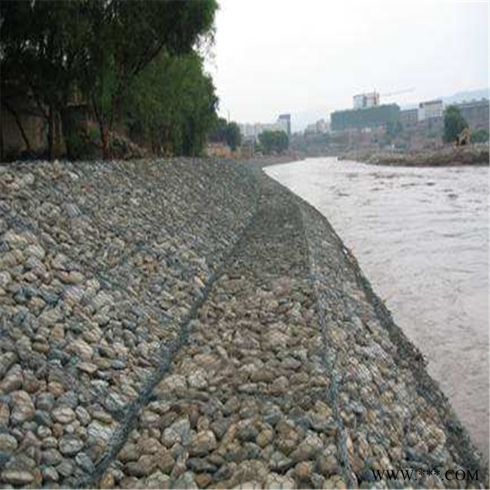 电镀锌石笼网 泰同丝网欢迎采购 **石笼网 厂家批发图3