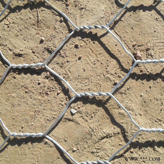 格宾网箱 电镀锌宾格网 工厂型号 雄顺 石笼网图5