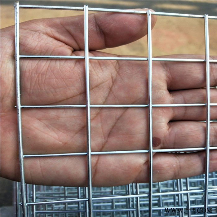电镀锌网片银耀304网片图8