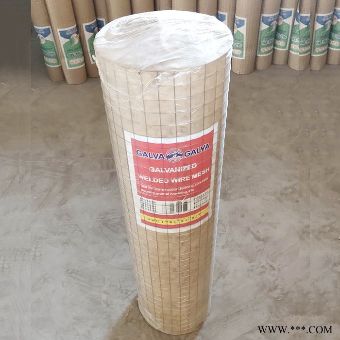 安亭 厂家生产  养殖电焊网 电镀锌电焊网图2