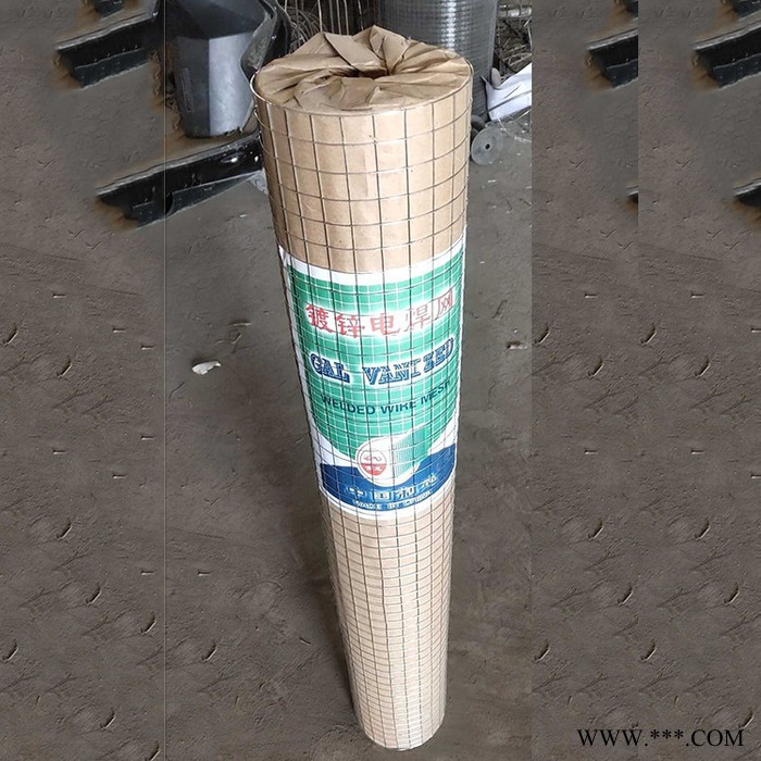 安亭 厂家生产  养殖电焊网 电镀锌电焊网图3