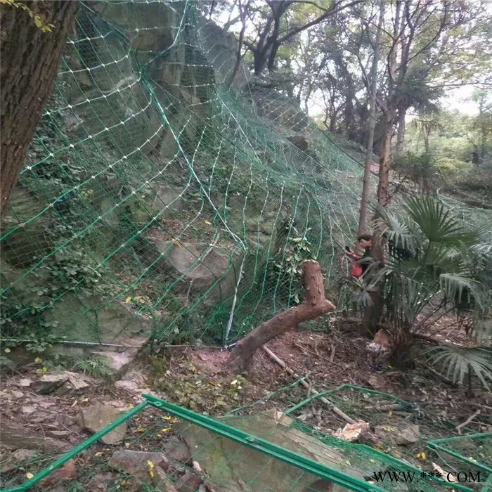 继乾 防护边坡公司  供应定做 电镀锌钛克网  边坡主动拦石网图2